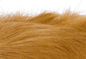 ダイソンペットグルーミング ツール。ミディアムからロングコートの愛犬に。ダイソン ペットグルーミングツールは、ミディアムからロングコートの愛犬に適しています。しかし、コモンドールやプーリーのような巻き毛の犬種には不向きです。