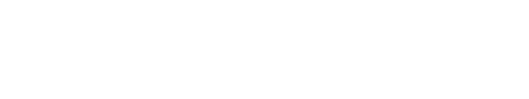 Dyson Cyclone DS20 logo.